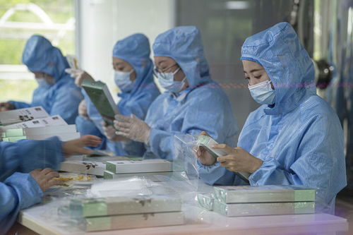 有绿、有技、有特色 乡村振兴新活力中的生物科技力量