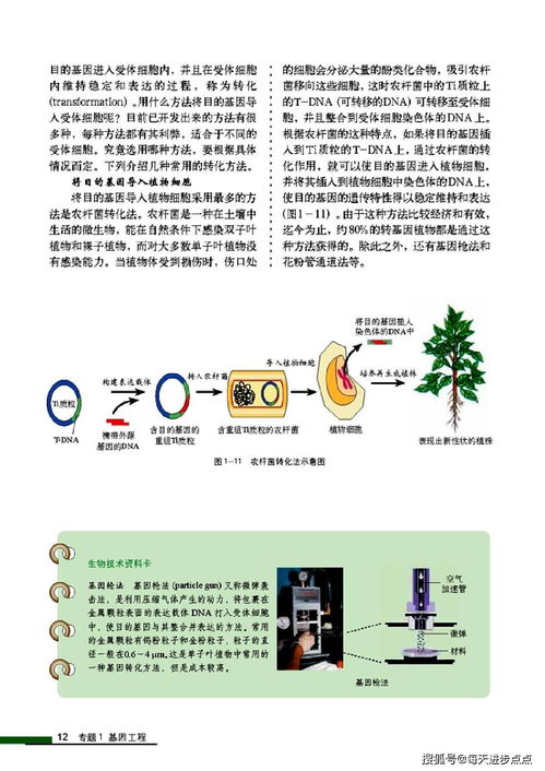 人与自然的桥梁 深度解析人教版高中生物选修3——现代生物科技专题最新高清版