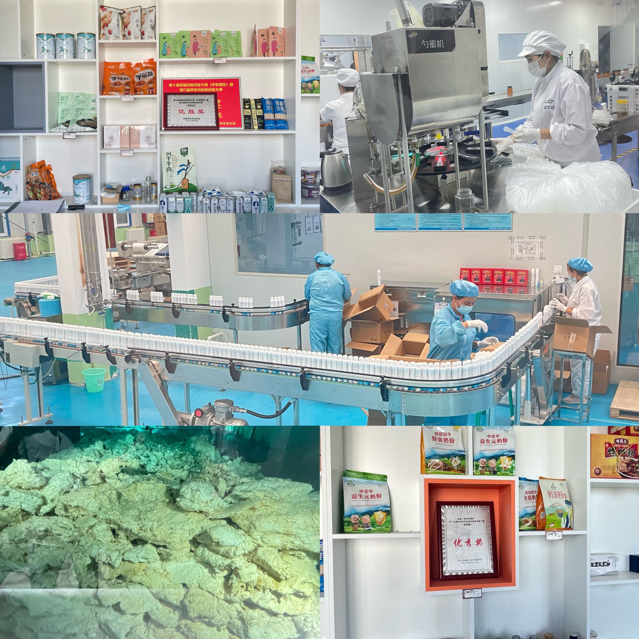 生物科学与技术学院生物工程与食品安全教研室赴尼勒克县绿农产业园开展“访企拓岗促就业”活动