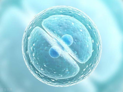 探索生命前沿 近期生物科技领域的五大研究趋势